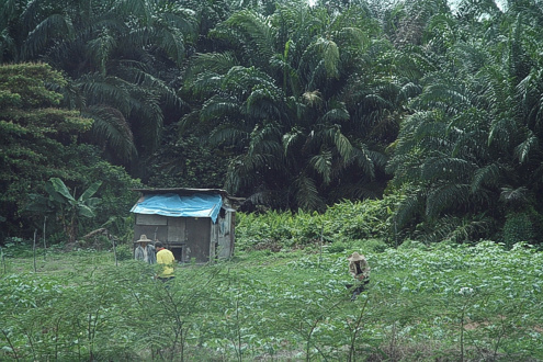 unterwegs nach ipoh